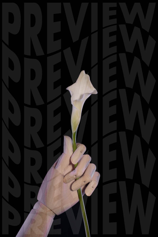 hold: calla lily